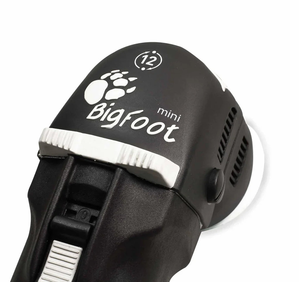 Rupes BigFoot LHR75E Mini Orbital Polisher 3"