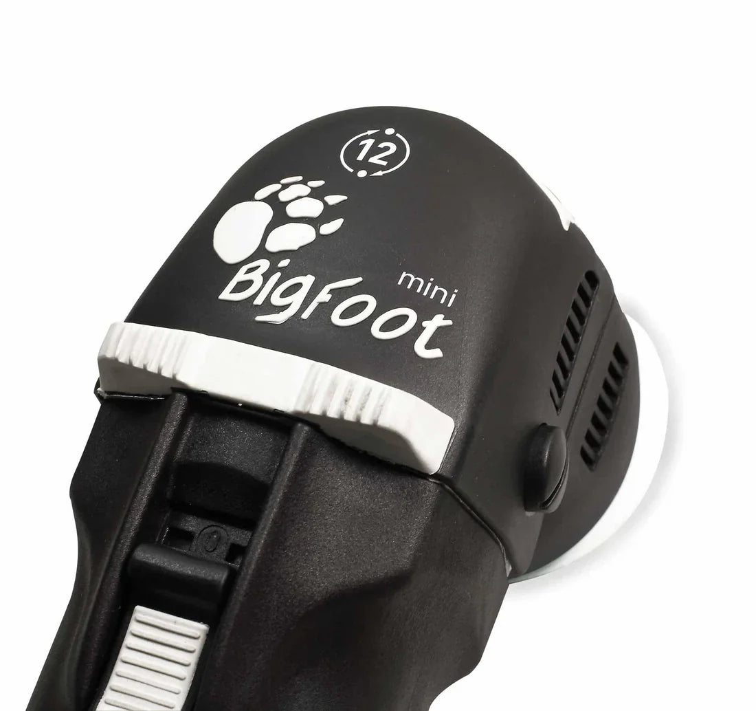 Rupes BigFoot LHR75E Mini Orbital Polisher 3"